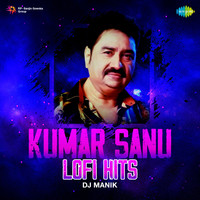 Kumar Sanu Lofi Hits