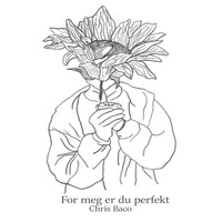 For Meg Er Du Perfekt