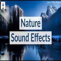 Natural Sound Effect