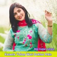 Kateele Yoban Wari Dekhat Main