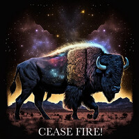 Cease Fire!