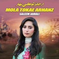 Mola Tokae Arhanz