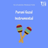 Purani Gazal Instrumental