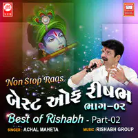 Best of Rishabh - Part - 02 (Non Stop Raas)
