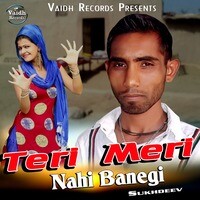 Teri Meri Nahi Banegi