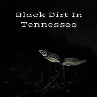 Black Dirt in Tennessee