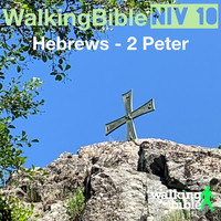 WalkingBible Niv 10 Hebrews - 2 Peter