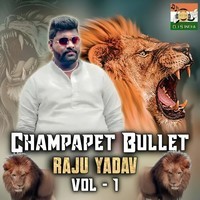 Champapet Bullet Raju Yadav Volume1