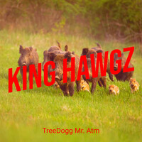 King Hawgz