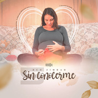 Sin Conocerme