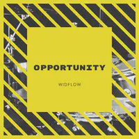 Opportunity