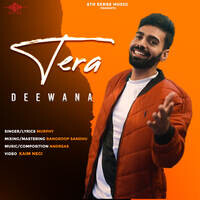 Tera Deewana