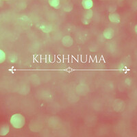 Khushnuma