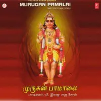 Murugan Pamalai