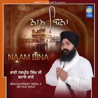 Naam Bina