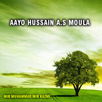 Aayo Hussain A.S Moula