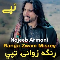 Ranga Zwani Misrey