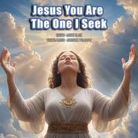 Jesus You Are The One I Seek