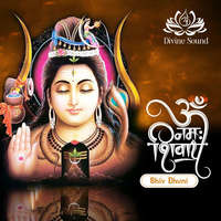 Om Namah Shivay - Shiv Dhuni