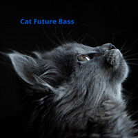 Cat Future Bass