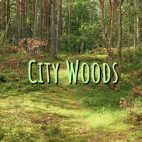 City Woods