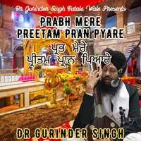 Prabh Mere Preetam Pran Pyare