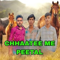 CHHAATEE ME PEETAL