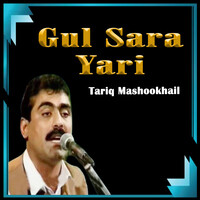 Gul Sara Yari