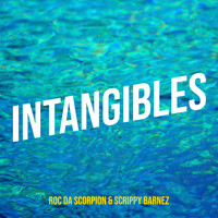 Intangibles