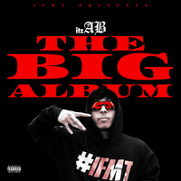 The Big Album