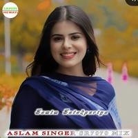 ASLAM SINGER SR7070 (MIX)