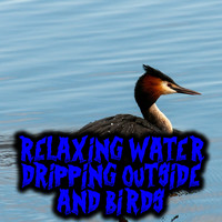 Relaxing Water Dripping Outside and Birds