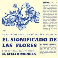 El Significado de las Flores