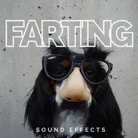 Farting Sound Effects