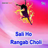 Sali Ho Rangab Choli