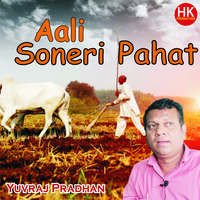 Ali Soneri Pahat Jagi Zali Ran Wat