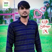 Gjb Silvar M