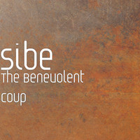 The Benevolent Coup