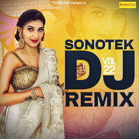 Sonotek Dj Remix Vol 22