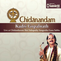 Chidanandam (Live at Chidambaram Shri Sabapathy Sangeetha Gana Sabha)