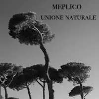 Unione naturale