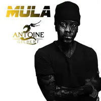 Mula