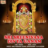 Sri Sreenivasa Divya Ganam - Tamil