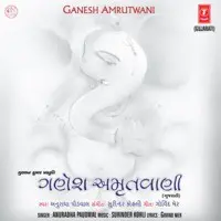 Ganesh Amrutwani