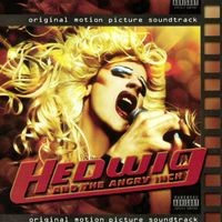 Midnight Radio Song Stephen Trask Hedwig and the Angry Inch