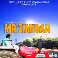 Mr Zimidar