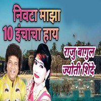 Nivta Majha 10 Inchacha Hay