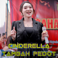 Cinderella Tambah Pedot