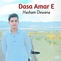 Dasa Amar E