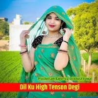 Dil Ku High Tenson Degi